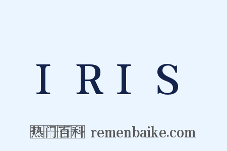 IRIS是什么意思的图片